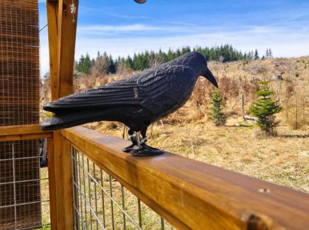 Prodej pozemku, ostatní, 12 118 m²