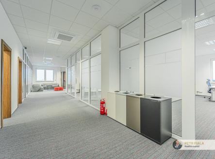 Pronájem kanceláře, 258 m²