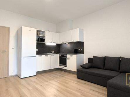 Pronájem bytu, 1+kk, 45 m²