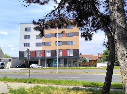 Pronájem bytu, 1+kk, 45 m²