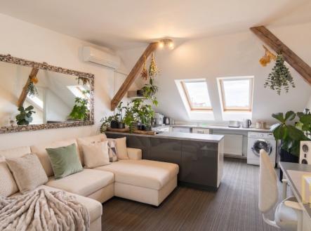 Pronájem bytu, 1+kk, 88 m²