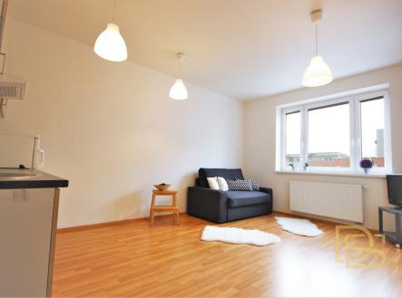 Pronájem bytu, 1+kk, 30 m²