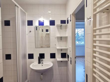 Pronájem bytu, 1+kk, 42 m²