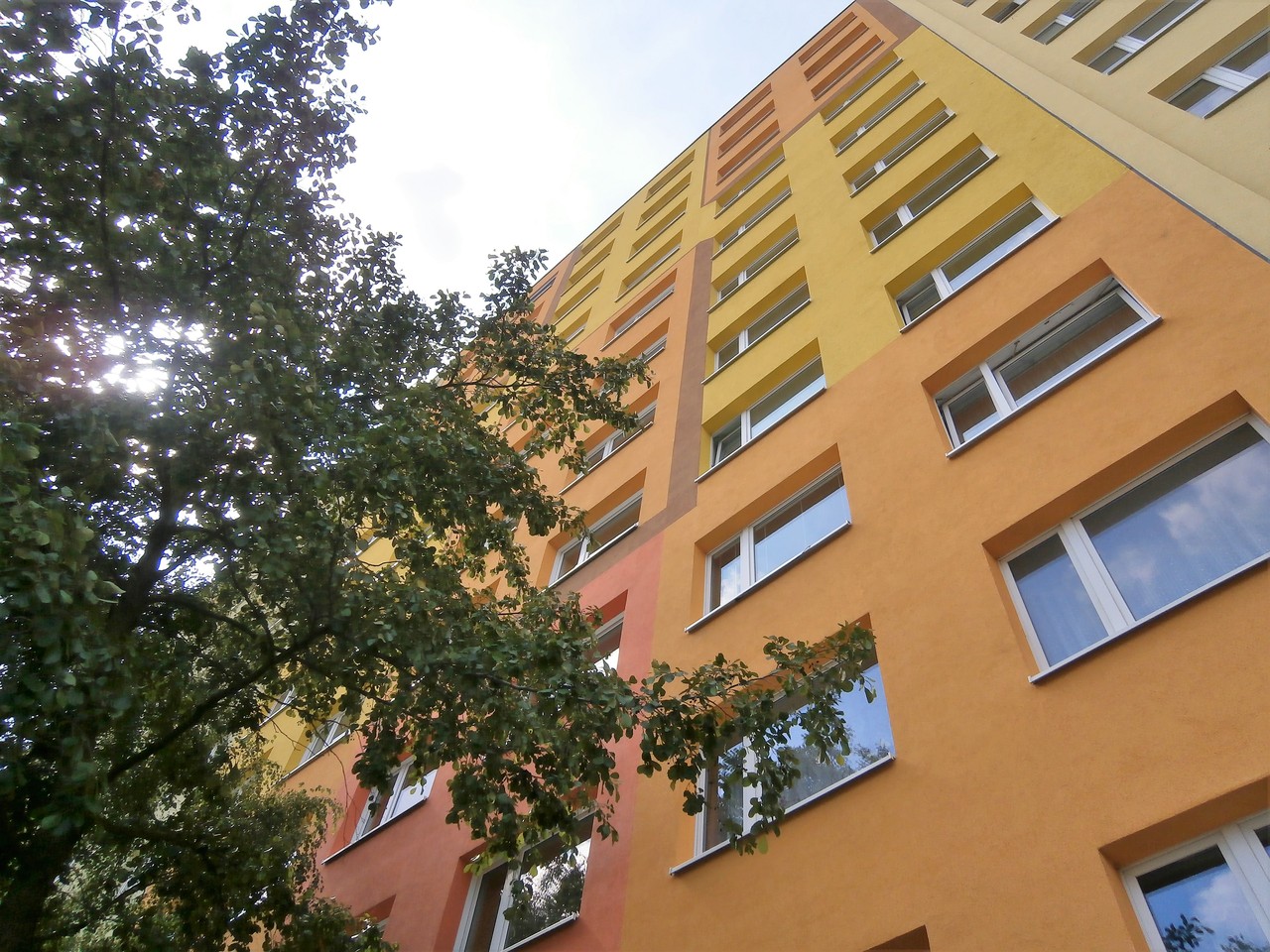 Fotka 1