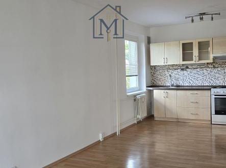 Pronájem bytu, 2+kk, 57 m²