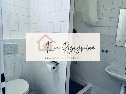 Pronájem bytu, 1+kk, 25 m²