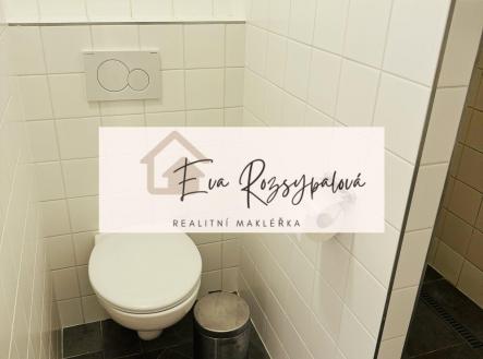 Pronájem bytu, 1+kk, 25 m²