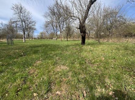 Prodej pozemku, zahrada, 581 m²