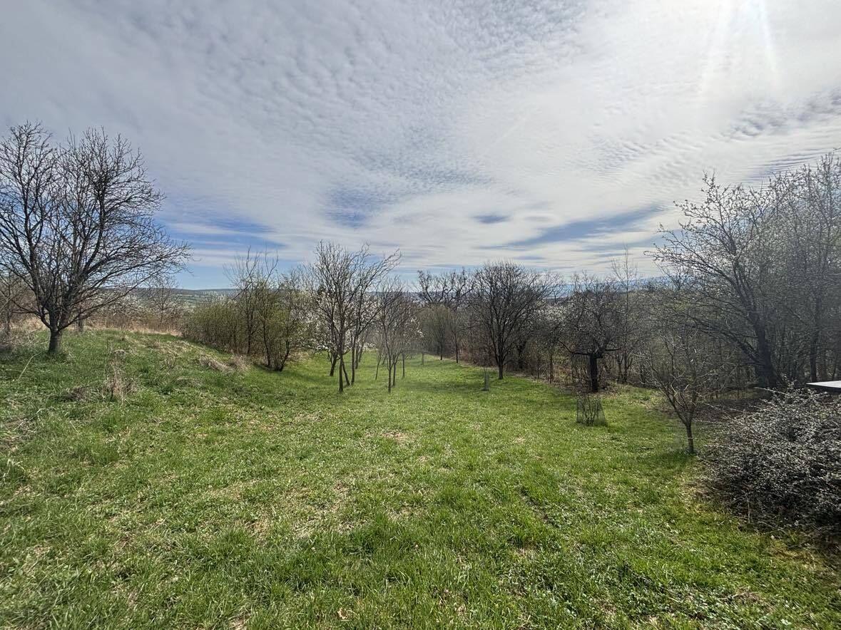 Prodej zahrady v brodských Vinohradech