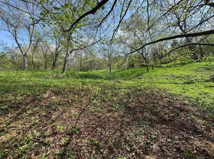 Prodej pozemku, zahrada, 619 m²