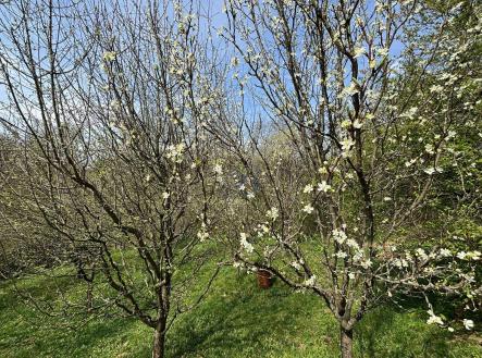 Prodej pozemku, zahrada, 619 m²