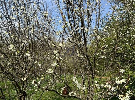 Prodej pozemku, zahrada, 619 m²