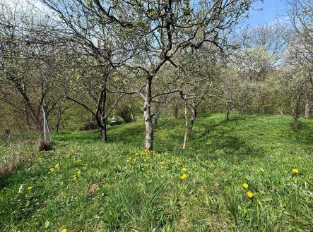 Prodej pozemku, zahrada, 619 m²