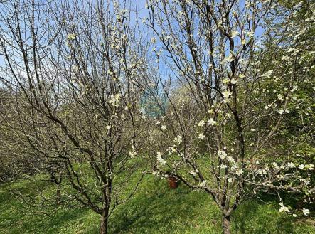 Prodej pozemku, zahrada, 619 m²