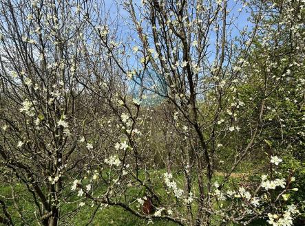 Prodej pozemku, zahrada, 619 m²