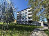 Pronájem bytu, 3+1, 63 m²