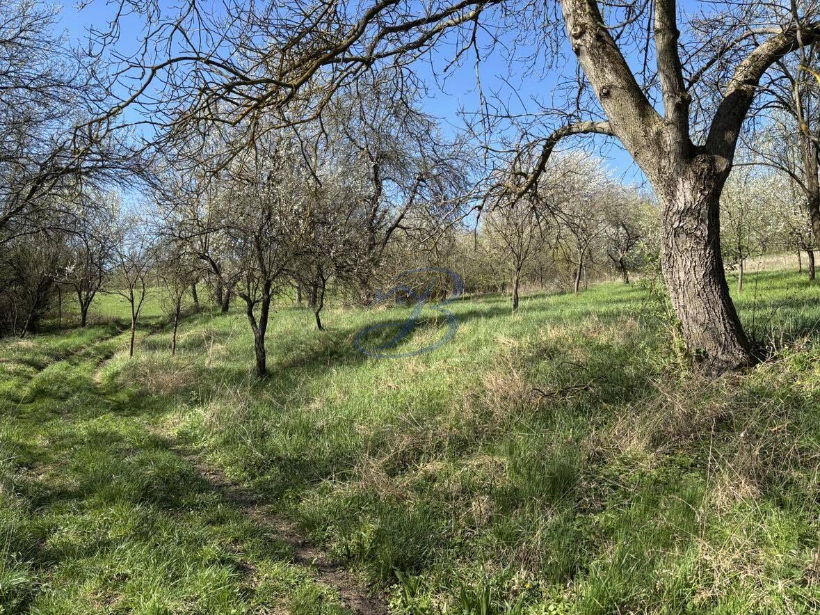 Prodej pozemku 2 426 m² – Havřice u Uherského Brodu