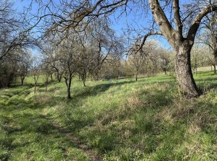 Prodej pozemku, zahrada, 2 426 m²