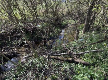 Prodej pozemku, zahrada, 2 426 m²