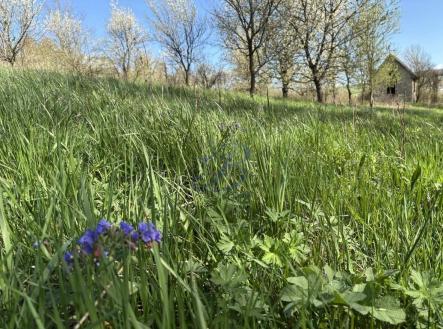 Prodej pozemku, zahrada, 2 426 m²