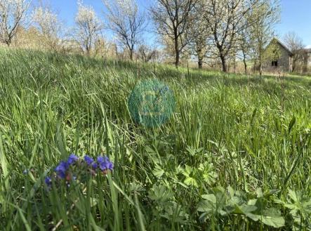 Prodej pozemku, zahrada, 2 426 m²