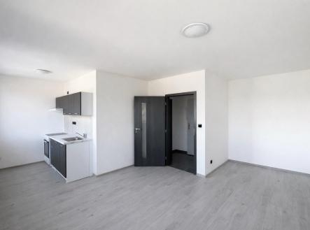Pronájem bytu, 1+kk, 25 m²