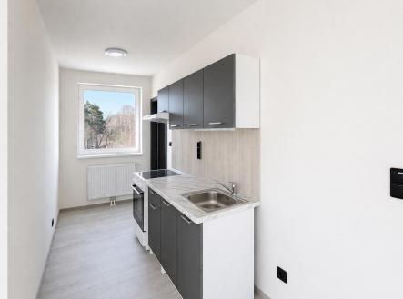 Pronájem bytu, 3+kk, 44 m²