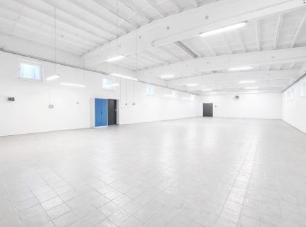 Pronájem výrobní prostor, 349 m²