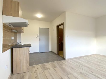 Pronájem bytu, 1+kk, 25 m²