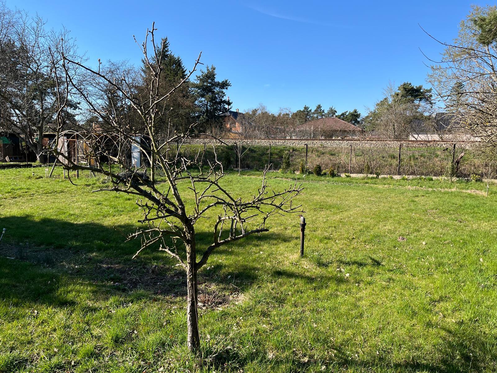 WhatsApp Image 2026-04-04 at 20.36.57 (13).jpeg