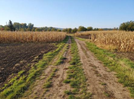 Prodej pozemku, zahrada, 1 564 m²