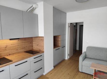 Pronájem bytu, 1+kk, 23 m²