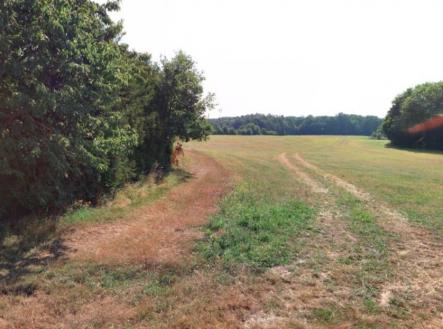 Prodej pozemku, zemědělská půda, 12 605 m²