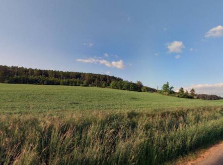 Prodej pozemku, zemědělská půda, 12 869 m²