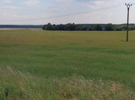 Prodej pozemku, zemědělská půda, 71 410 m²