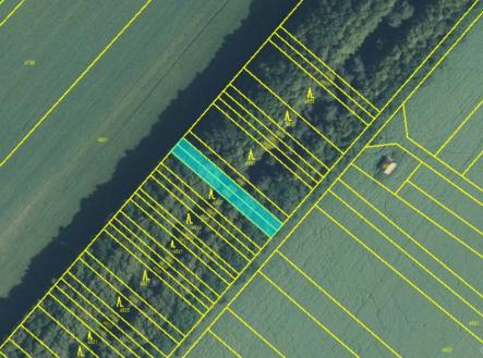 Prodej pozemku, les, 1 885 m²