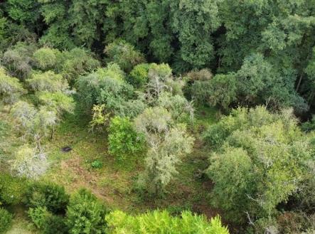 Prodej pozemku, zahrada, 1 984 m²