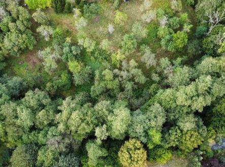 Prodej pozemku, zahrada, 1 984 m²