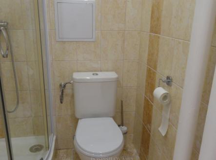 Pronájem bytu, 1+1, 32 m²