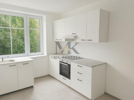 Pronájem bytu, 1+1, 59 m²
