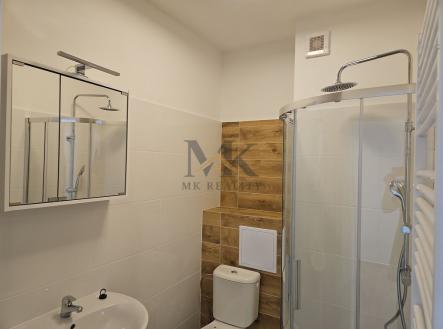 Pronájem bytu, 1+kk, 29 m²