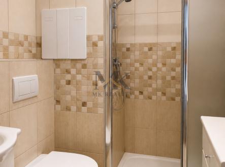 Pronájem bytu, 1+kk, 27 m²
