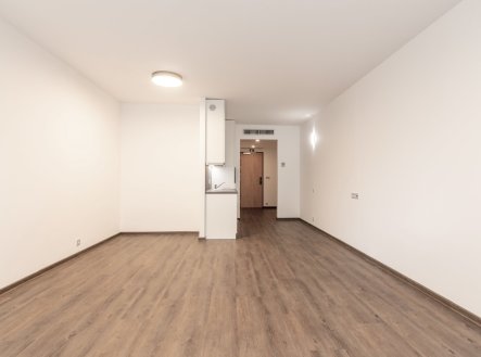 Pronájem bytu, 1+kk, 44 m²