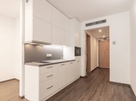 Pronájem bytu, 1+kk, 44 m²