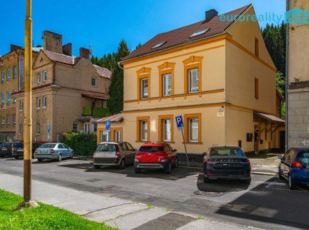 Prodej, vícegenerační dům s nebytovými prostory, 259 m2, Kraslice