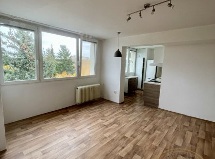 Pronájem bytu, 3+1, 59 m²