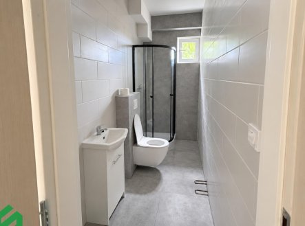 Pronájem bytu, 1+kk, 30 m²