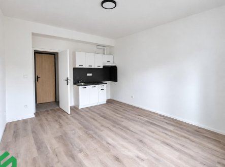 Pronájem bytu, 1+kk, 28 m²