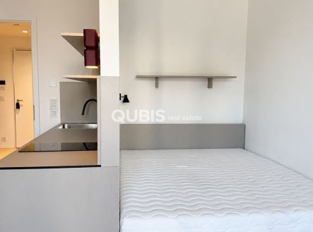 Pronájem bytu, 1+kk, 46 m²