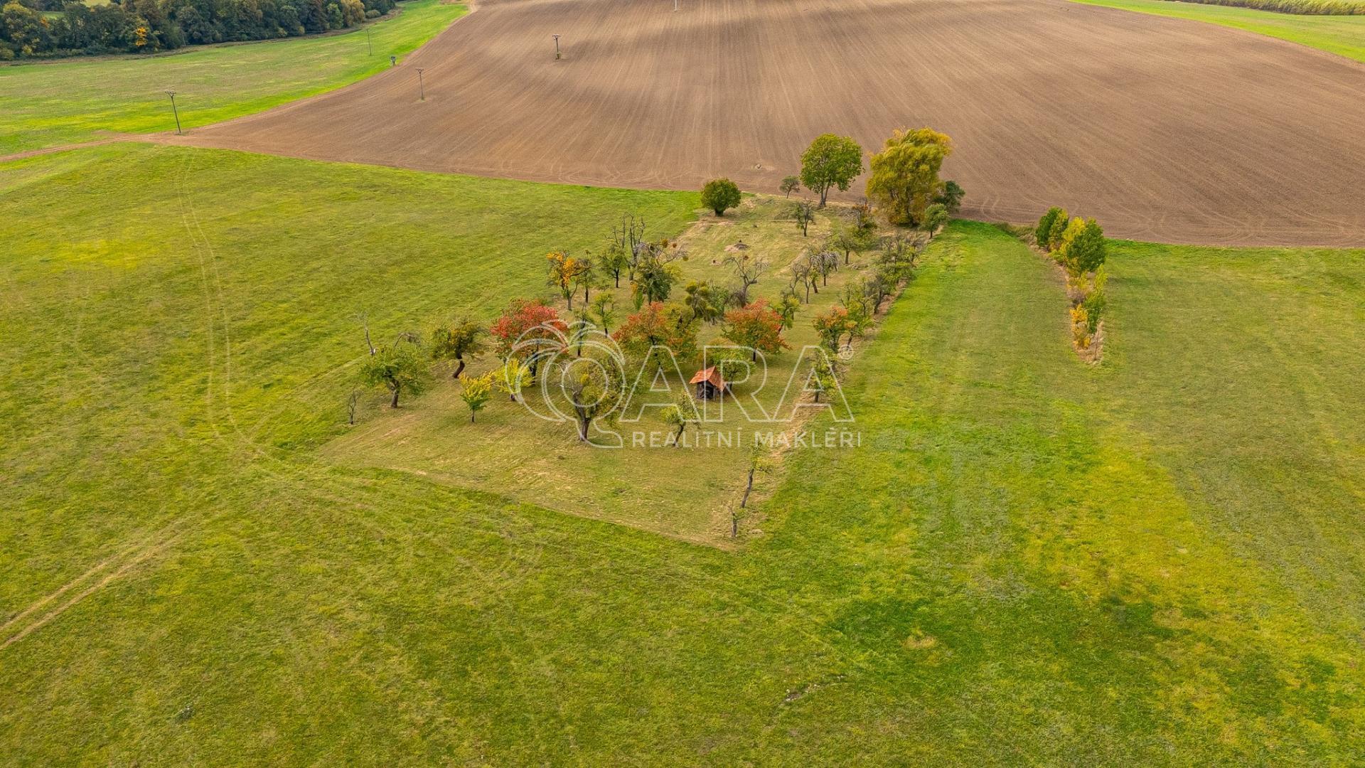DJI_20261008123904_0814_D